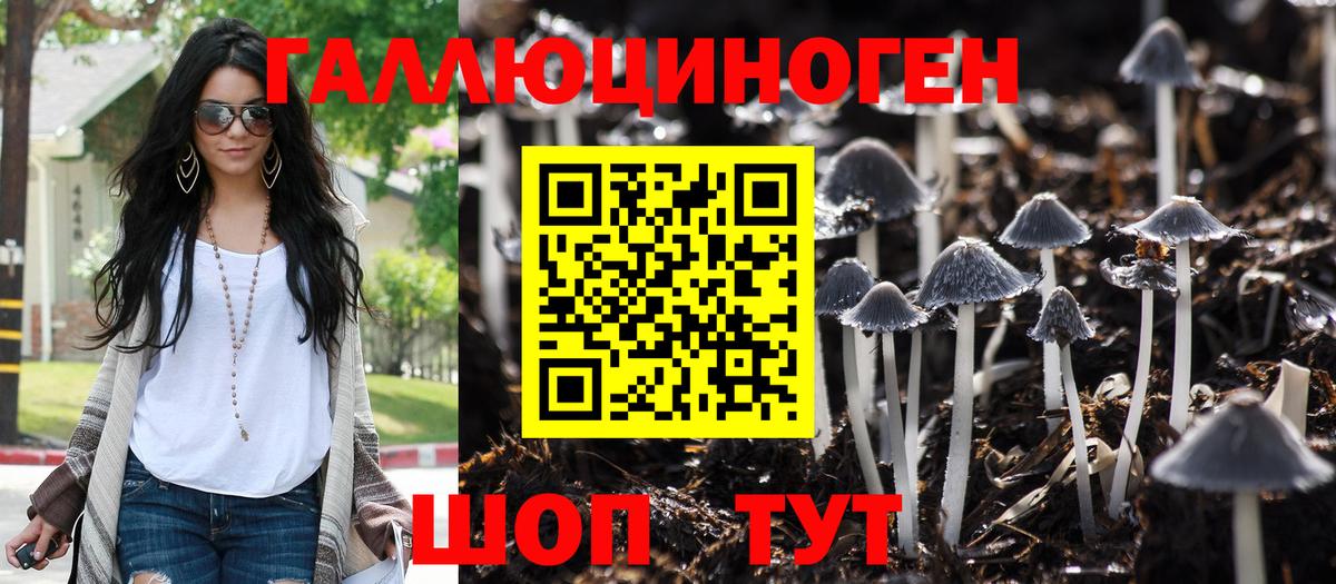 ГАШ  Меф  Вход с VPN  Конопля  ЭКСТАЗИ  Светлоград  Мефедрон  