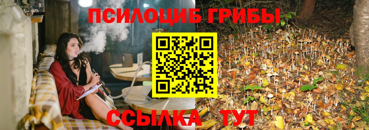 Псилоцибиновые грибы GOLDEN TEACHER  Вход с VPN  Светлоград 