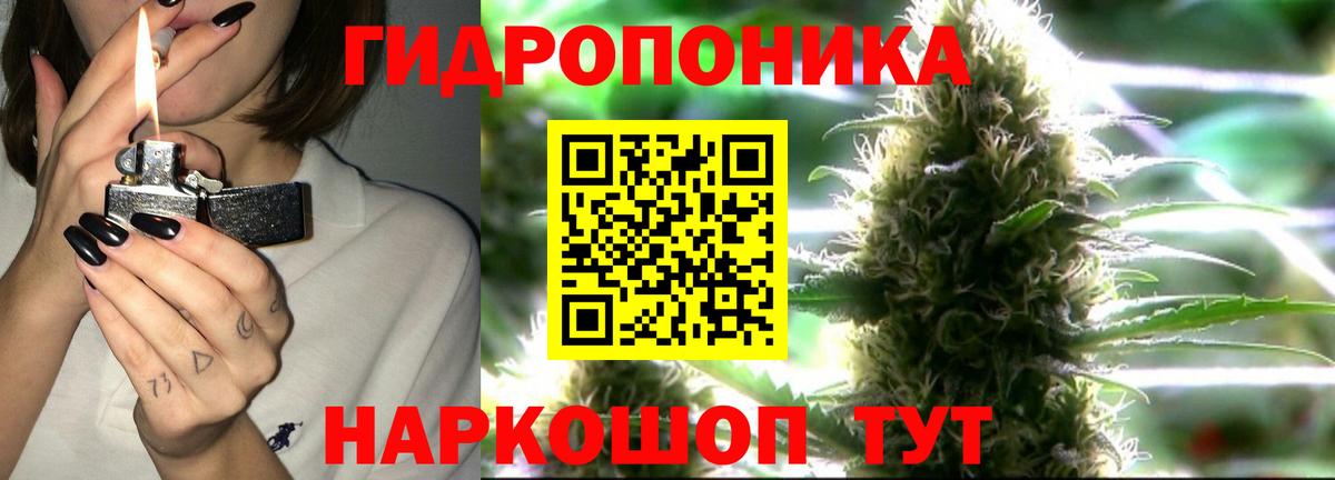 Бошки Шишки Amnesia  Вход с VPN  Бошки марихуана ГИДРОПОН  Каннабис VHQ  МАРИХУАНА THC 21%  Светлоград 