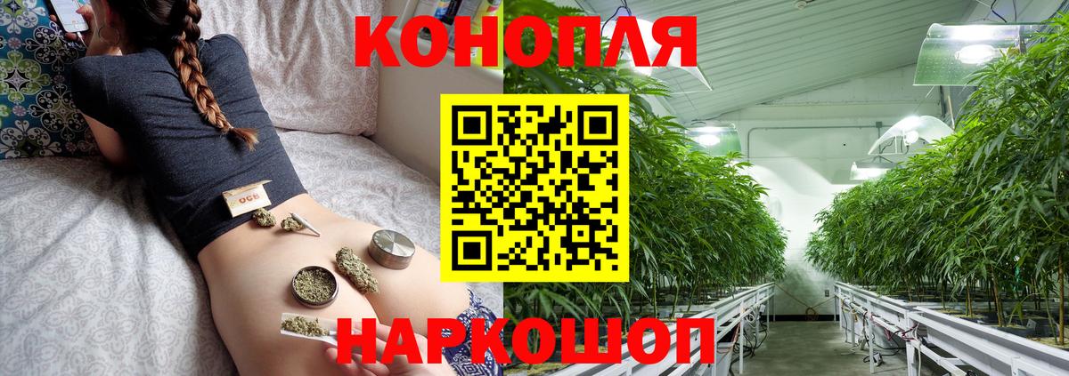 Марихуана план Светлоград